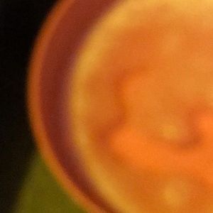 Meet your Posher, Artie